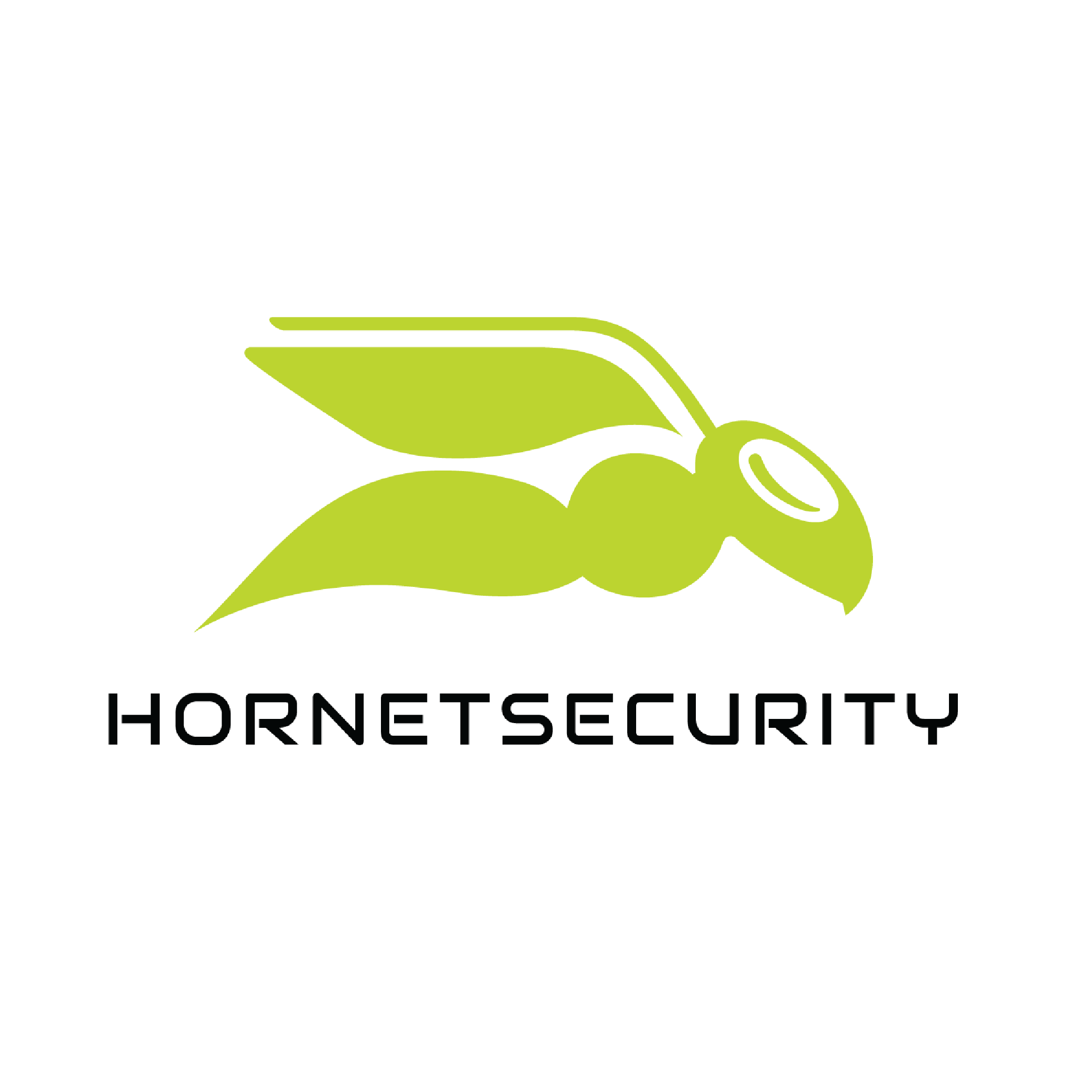 Hornetsecurity Ltd